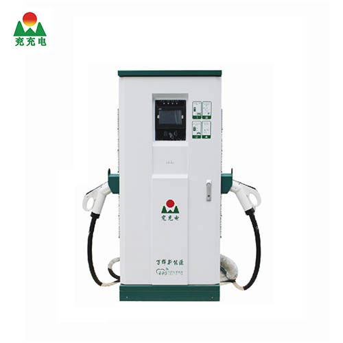 120KWֱ˫ǹһʽ׮